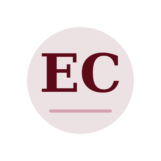 Erin Chimney Services logo